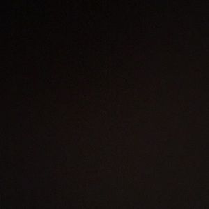 Meet your Posher, Lily